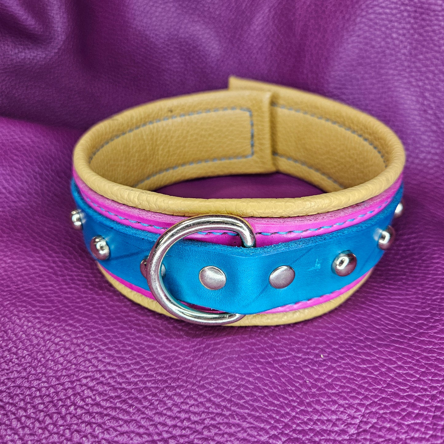 Studded Pansexual Collar