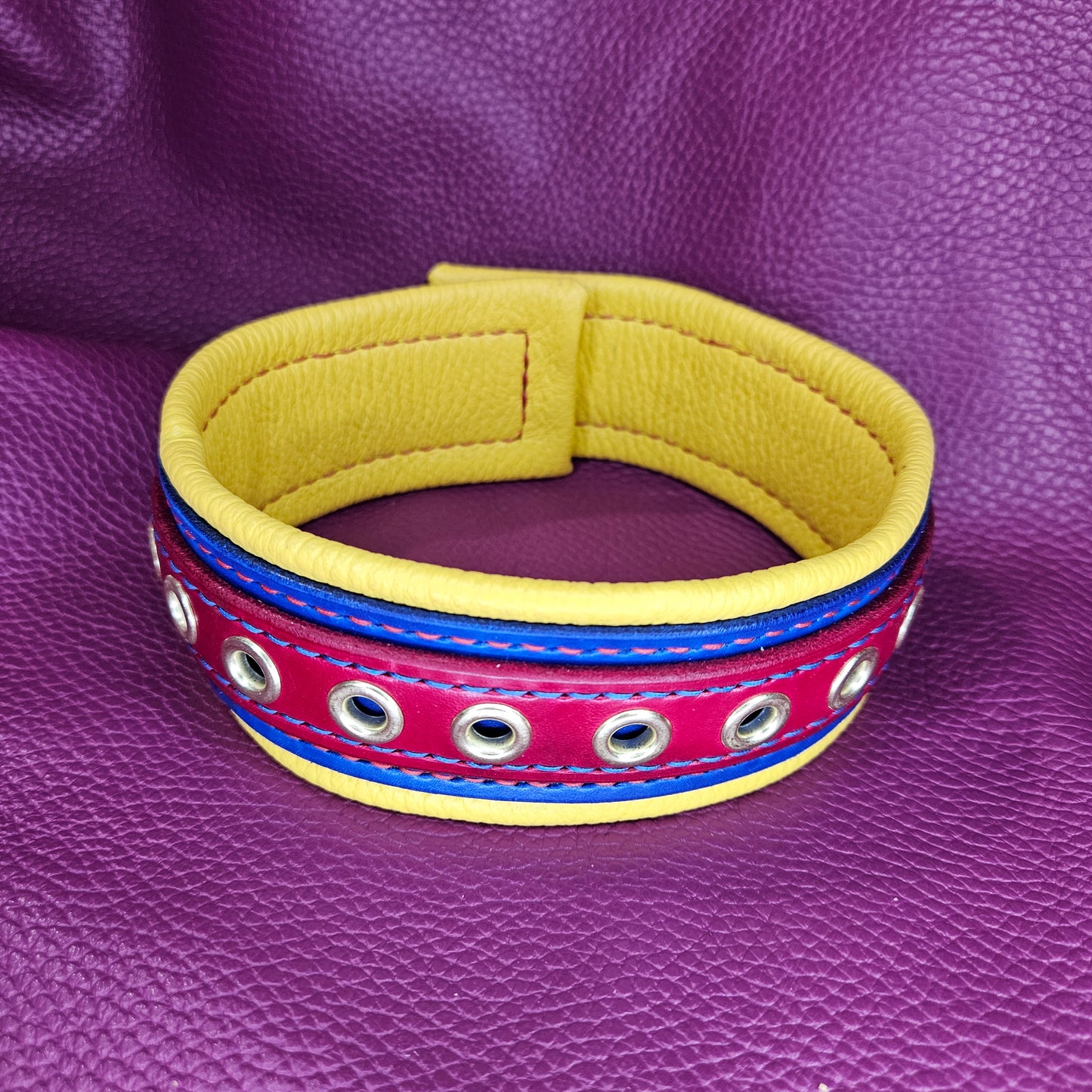 Primary Color Collar