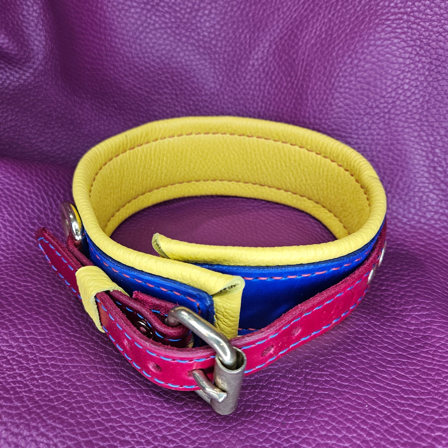 Primary Color Collar